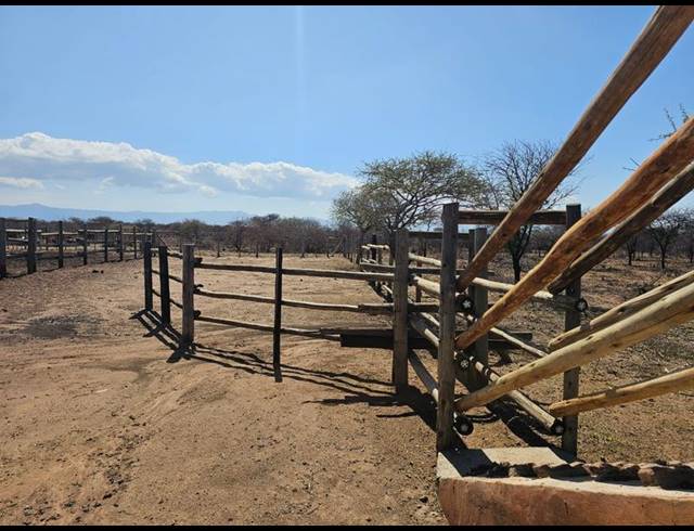 FARM FOR SALE IN LOUIS TRICHARDT RURAL